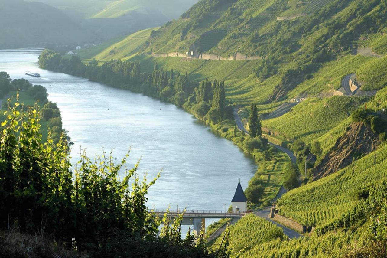 Weingut & Gaestehaus Christoph Cluesserath Trittenheim Exterior photo