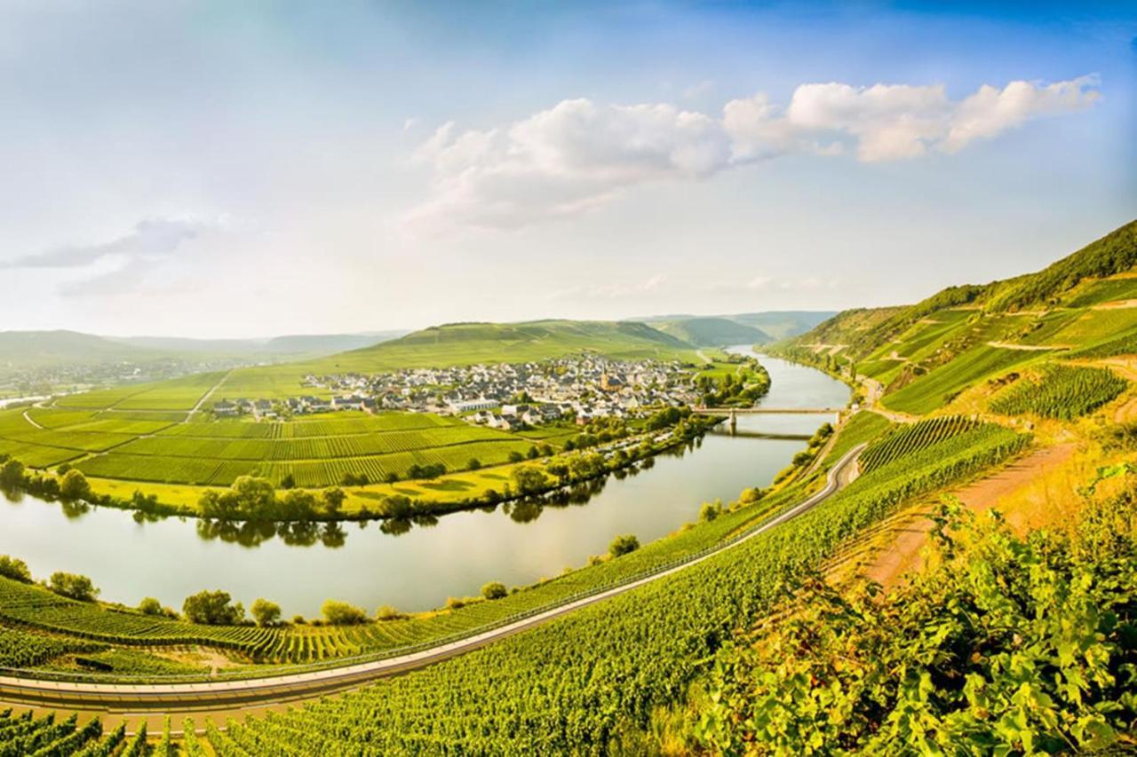 Weingut & Gaestehaus Christoph Cluesserath Trittenheim Exterior photo