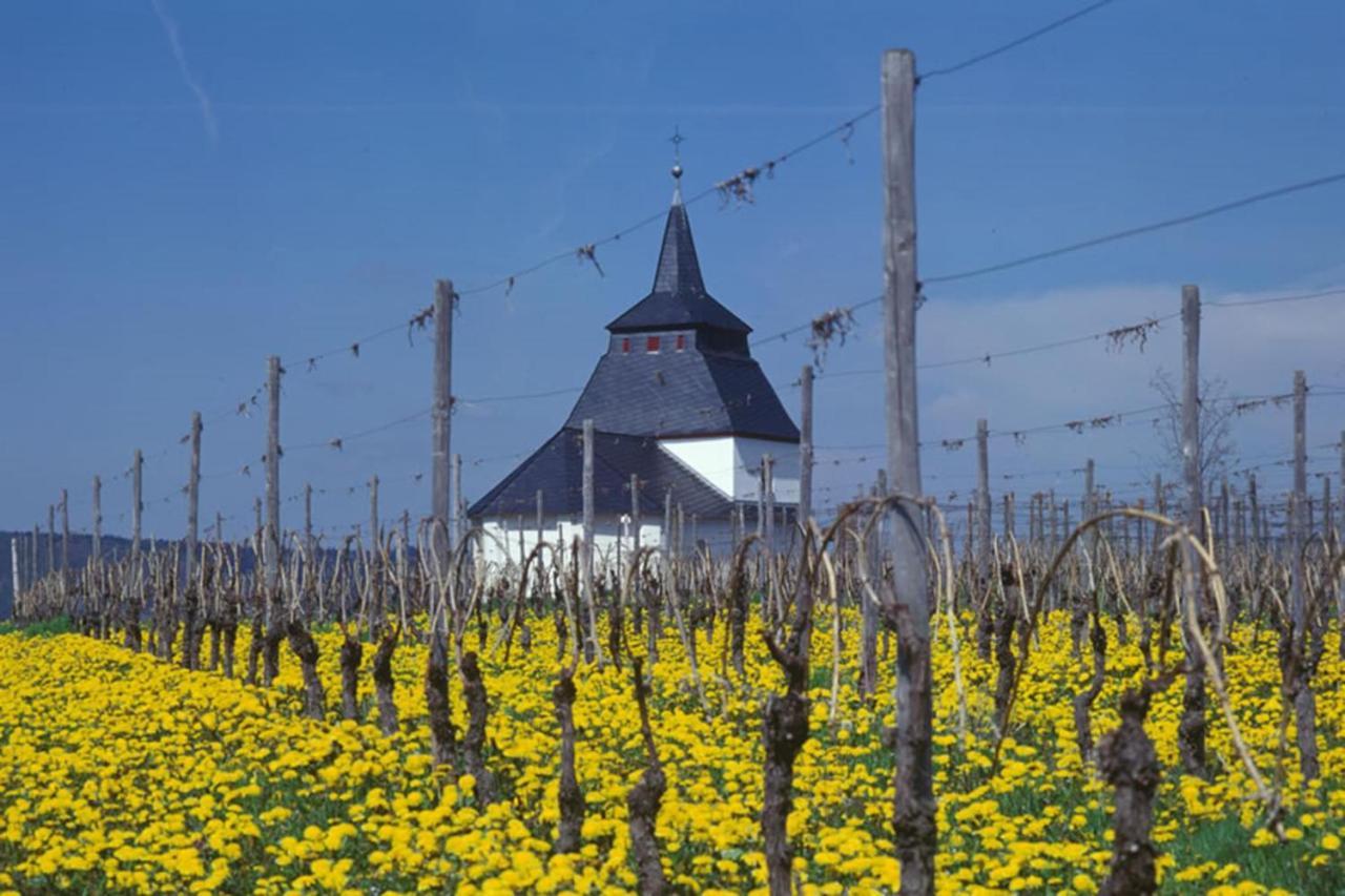 Weingut & Gaestehaus Christoph Cluesserath Trittenheim Exterior photo